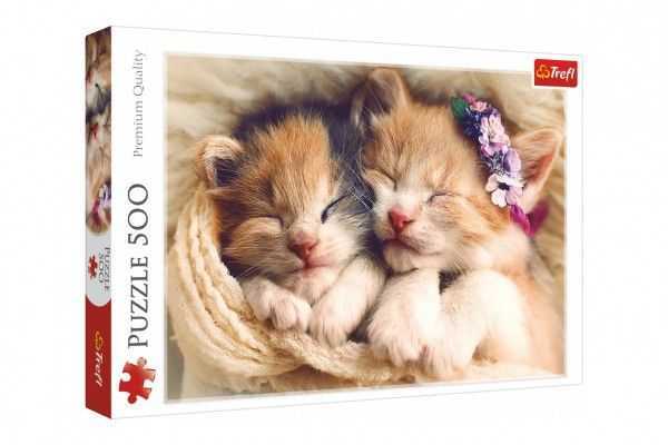 Puzzle Spící koťata 500 dílků 48 x 34 cm v krabici Teddies