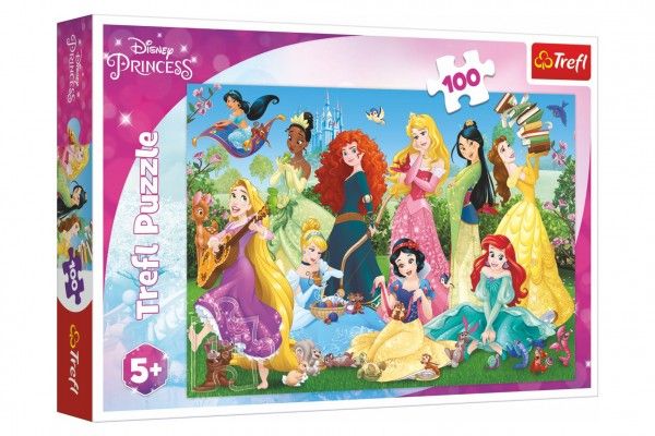 Puzzle Půvabné princezny/Disney 100 dílků 41x27