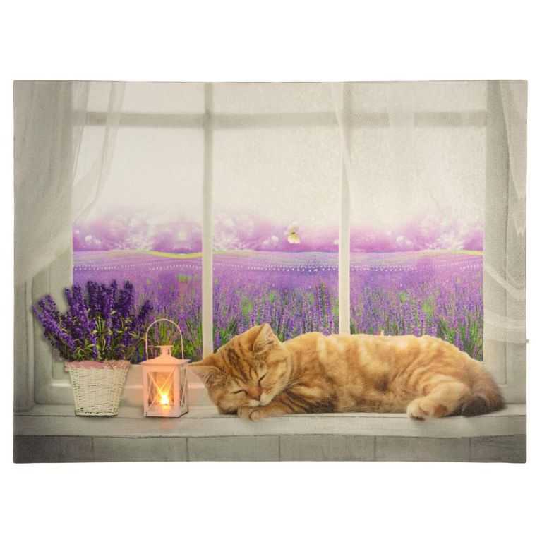 86701 Nástěnná malba kočka na okně