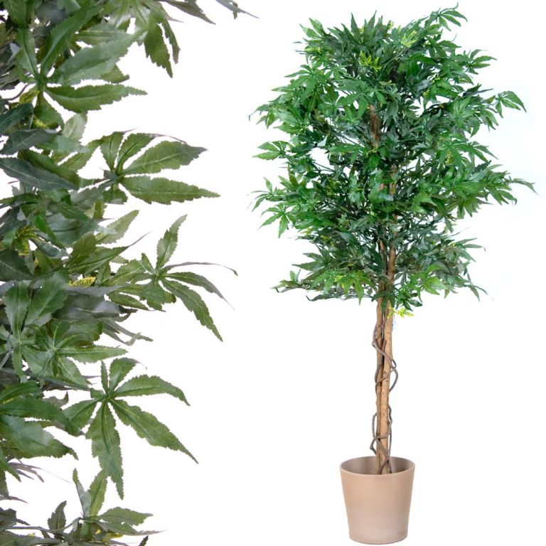 Tuin 1401 Umělá rostlina strom - konopí - 150 cm PLANTASIA