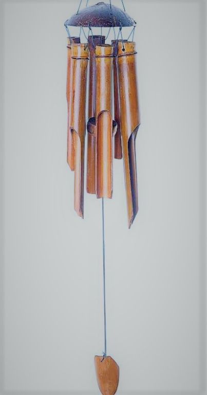 Zvonkohra bambus 50 cm